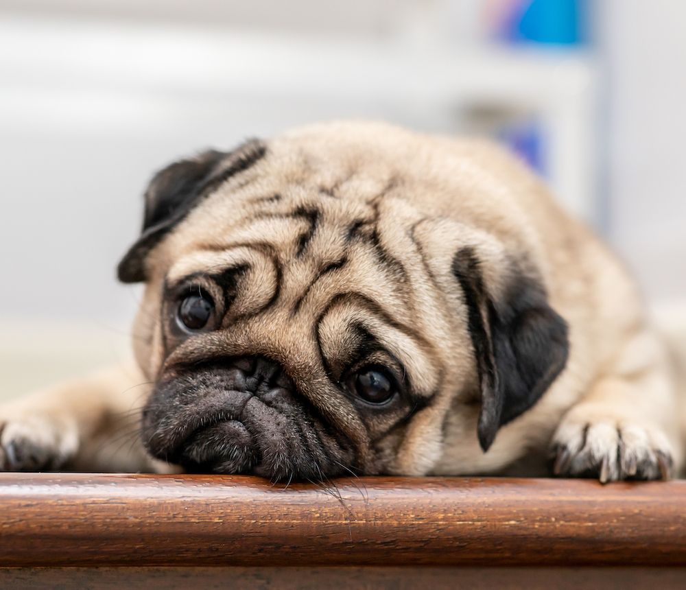 That Wasn't Such a Great Idea